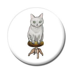 shoco_マンチカン3-1