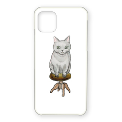 shoco_マンチカン3-1