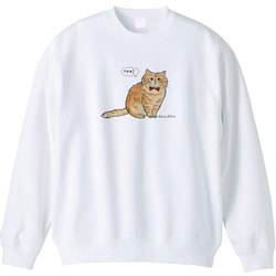 はくたちひろ_マンチカン3-1