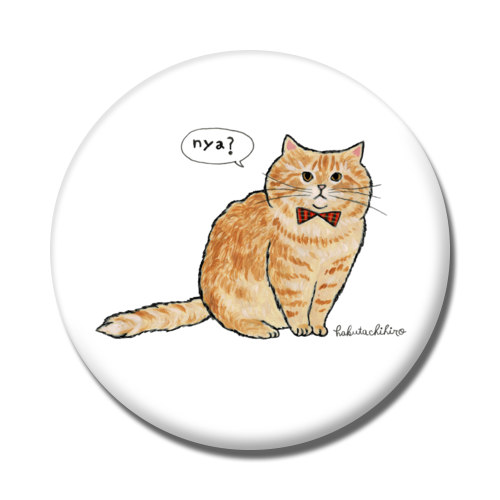 はくたちひろ_マンチカン3-1