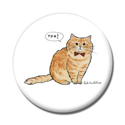 はくたちひろ_マンチカン3-1