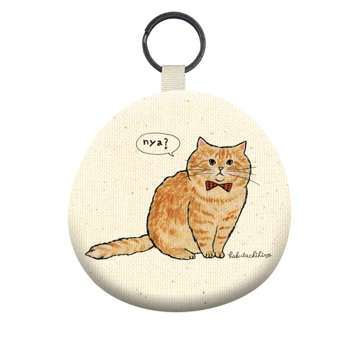 はくたちひろ_マンチカン3-1