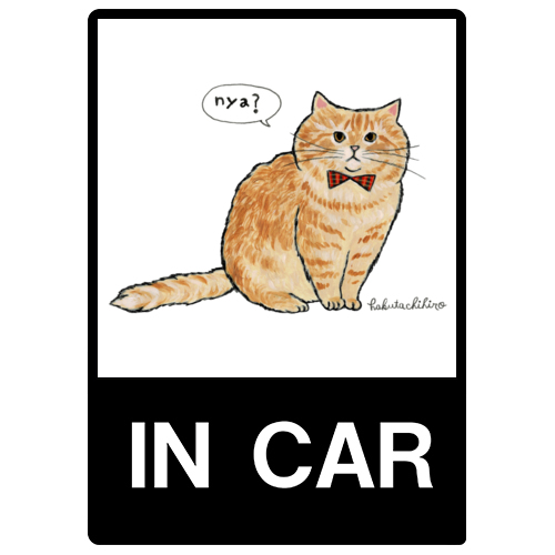 はくたちひろ_マンチカン3-1