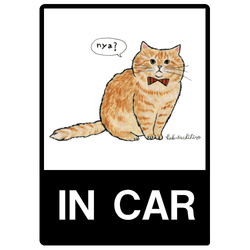 はくたちひろ_マンチカン3-1