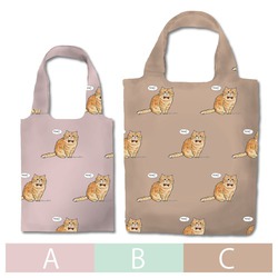 はくたちひろ_マンチカン3-1