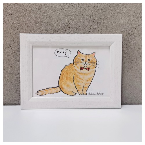 はくたちひろ_マンチカン3-1