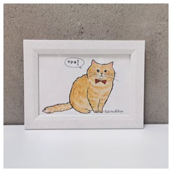 はくたちひろ_マンチカン3-1