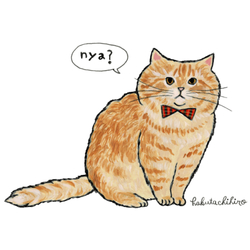 はくたちひろ_マンチカン3-1