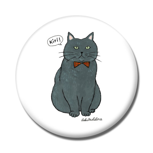 はくたちひろ_マンチカン3-2