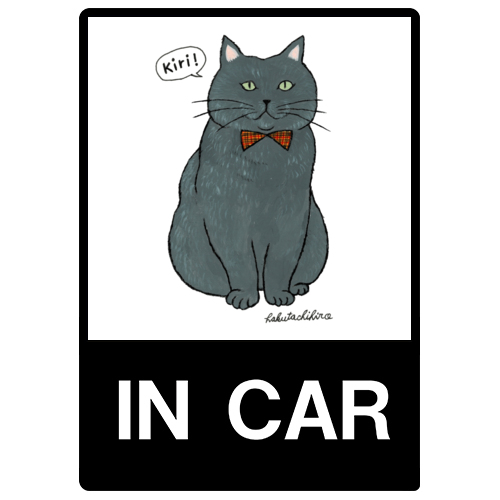 はくたちひろ_マンチカン3-2