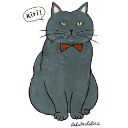 はくたちひろ_マンチカン3-2