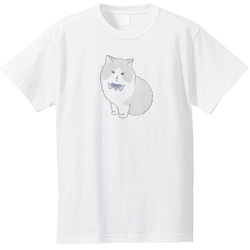 もちこ_マンチカン3-1