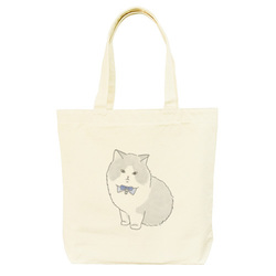 もちこ_マンチカン3-1