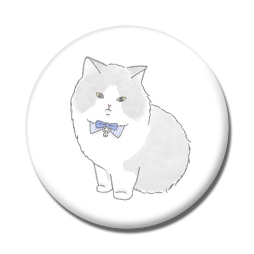 もちこ_マンチカン3-1