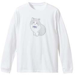 もちこ_マンチカン3-1