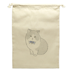 もちこ_マンチカン3-1