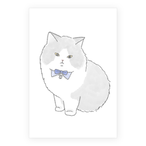 もちこ_マンチカン3-1