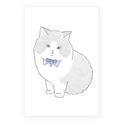 もちこ_マンチカン3-1