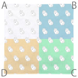 もちこ_マンチカン3-1