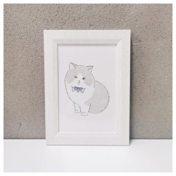 もちこ_マンチカン3-1