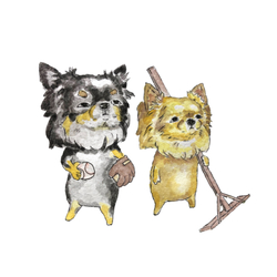 デザイン名/ ティアラシンバの部活