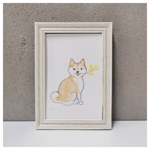 【4/18~一般販売】shoco_赤柴4-1