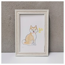 【4/18～一般販売】shoco_赤柴4-1