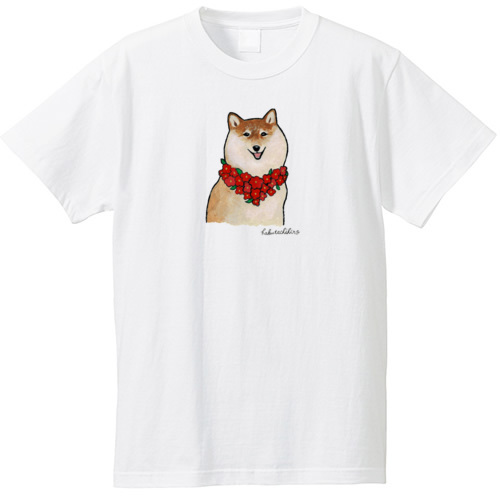 はくたちひろ_赤柴4-1