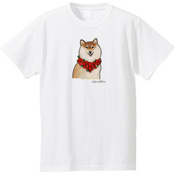 はくたちひろ_赤柴4-1