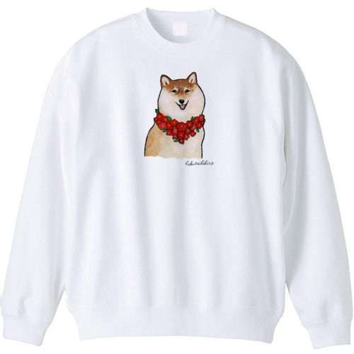 はくたちひろ_赤柴4-1