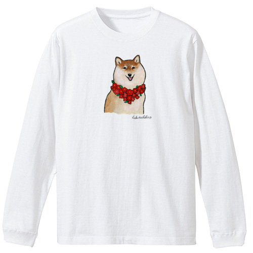 はくたちひろ_赤柴4-1