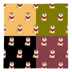 はくたちひろ_赤柴4-1