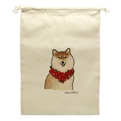 はくたちひろ_赤柴4-1