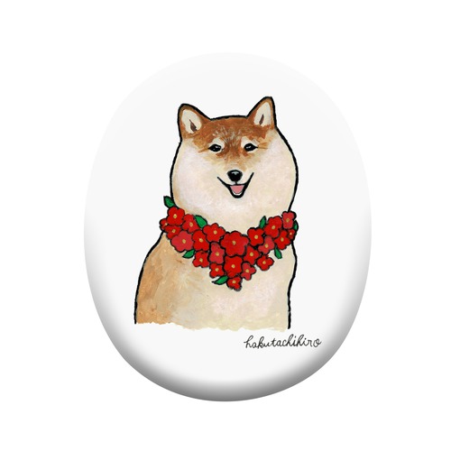 はくたちひろ_赤柴4-1