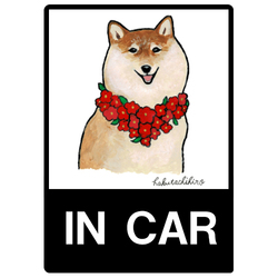 はくたちひろ_赤柴4-1