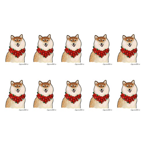 はくたちひろ_赤柴4-1