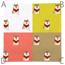 はくたちひろ_赤柴4-1