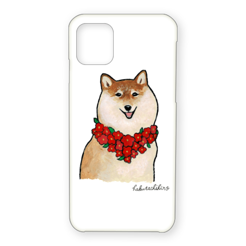 はくたちひろ_赤柴4-1