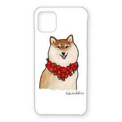 はくたちひろ_赤柴4-1