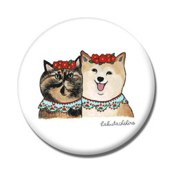 はくたちひろ_赤柴&サビ猫4-1