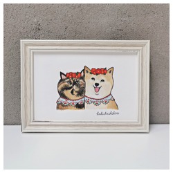 はくたちひろ_赤柴&サビ猫4-1