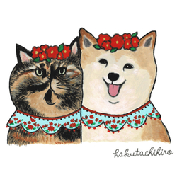 はくたちひろ_赤柴&サビ猫4-1