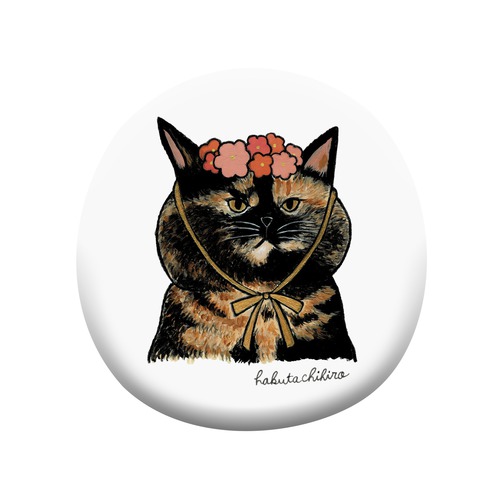 はくたちひろ_サビ猫4-1