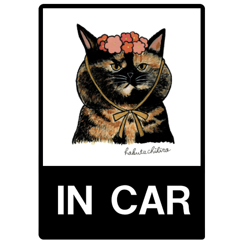 はくたちひろ_サビ猫4-1