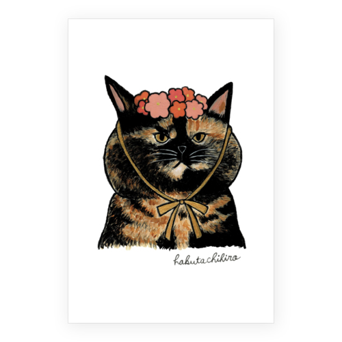 はくたちひろ_サビ猫4-1