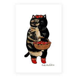 はくたちひろ_サビ猫4-2