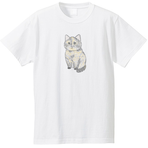 もちこ_サビ猫4-1