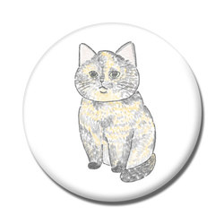 もちこ_サビ猫4-1