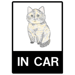 もちこ_サビ猫4-1