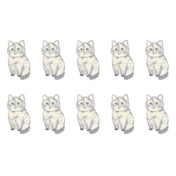 もちこ_サビ猫4-1